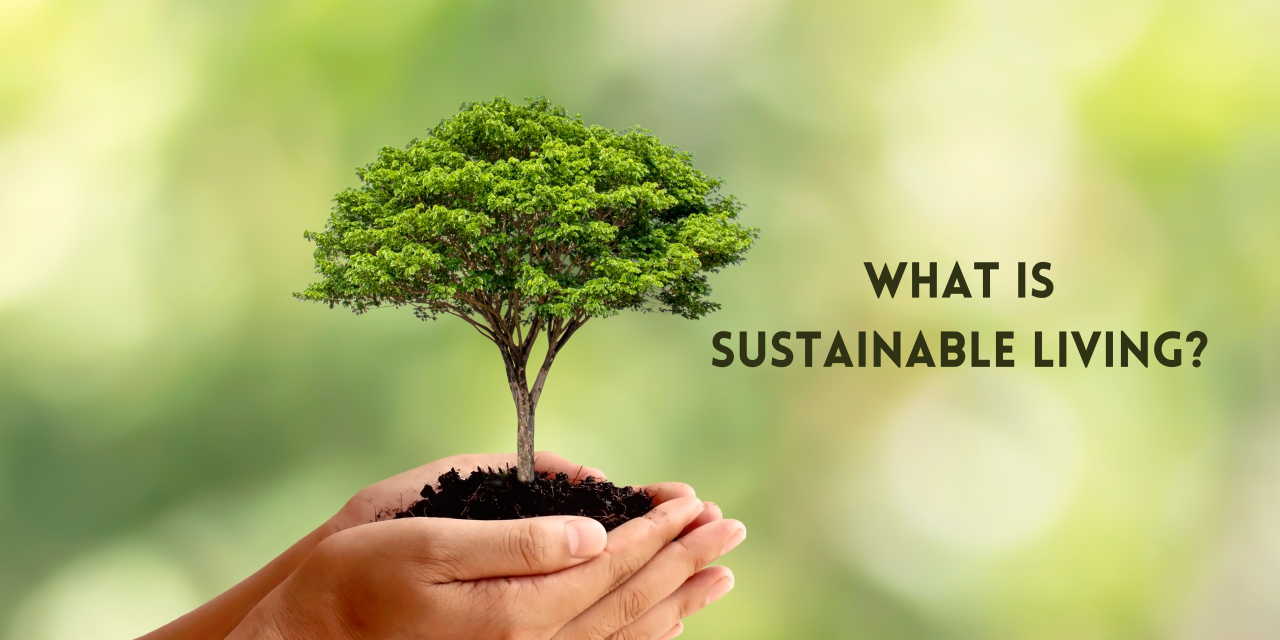 Small Steps To Living A More Sustainable Life